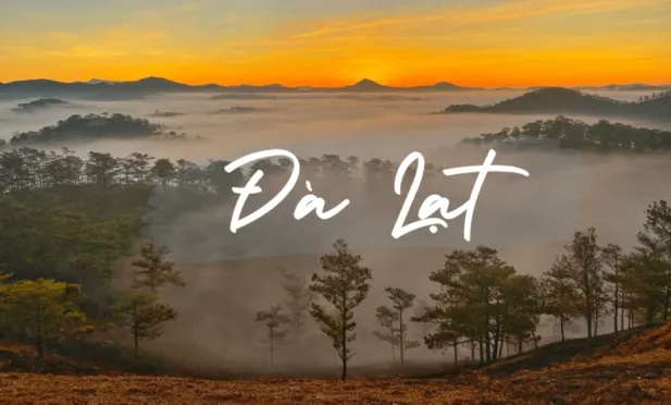 探索大叻的风景