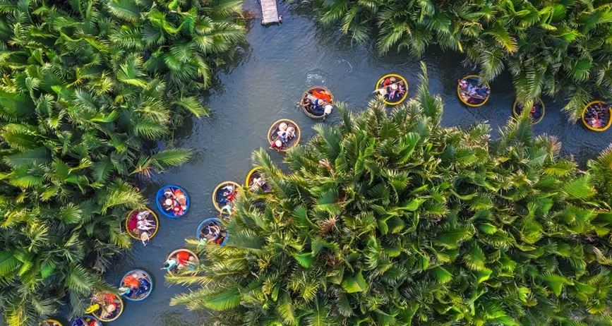 会安 - 加南岛 - 椰子林